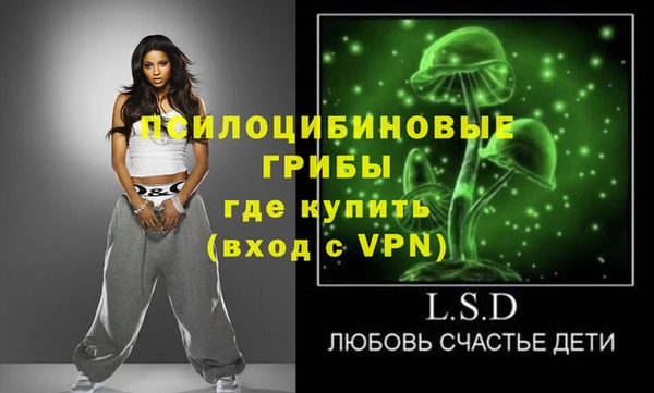 прущие грибы Нягань