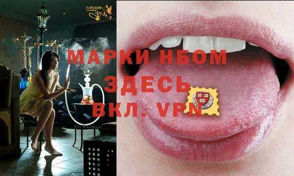 индика Нефтегорск