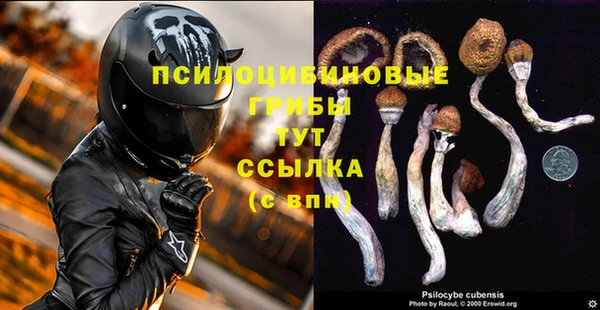 гидра Ветлуга