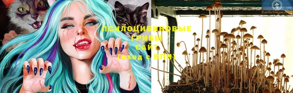 MESCALINE Новокубанск