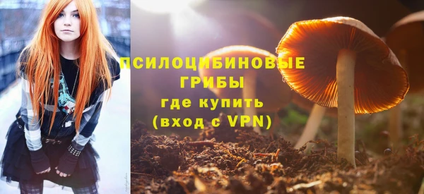 ешки Новозыбков