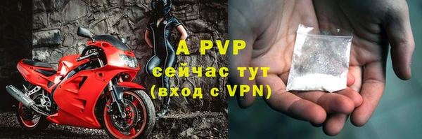 прущие грибы Нягань