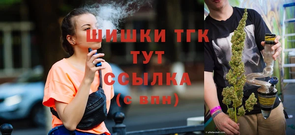 прущие грибы Нягань